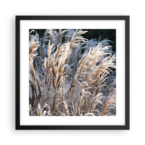 Poster in einem schwarzem Rahmen - Gekleidet mit Frost - 40x40 cm