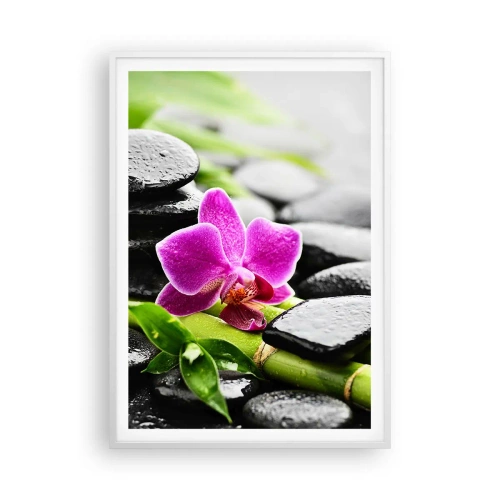 Poster in einem weißen Rahmen - In ruhiger Balance - 70x100 cm