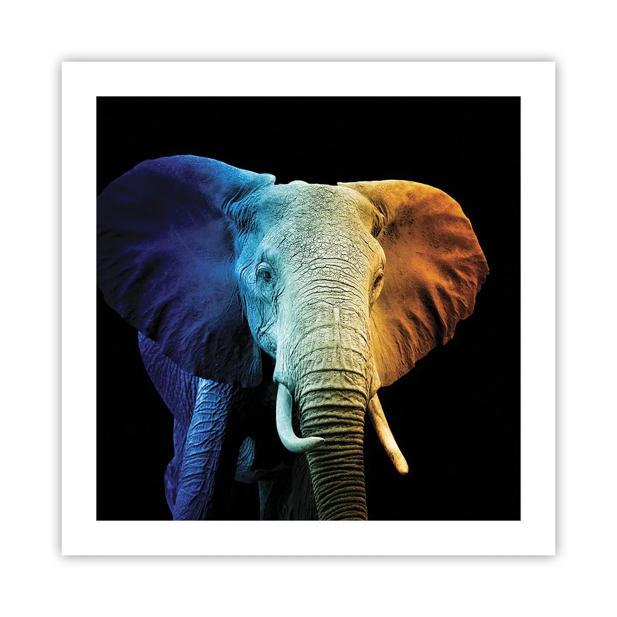 Poster - Exzentrisch, kein Verrückter - 50x50 cm