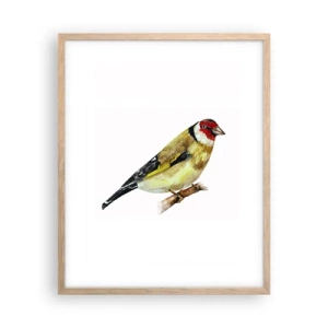 Poster in einem Rahmen aus heller Eiche - Vogelporträt - 40x50 cm
