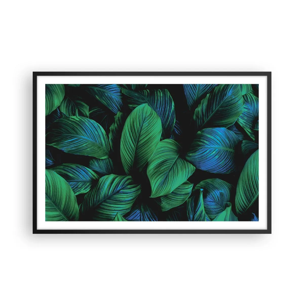 Poster in einem schwarzem Rahmen - In der grünen Menge - 91x61 cm