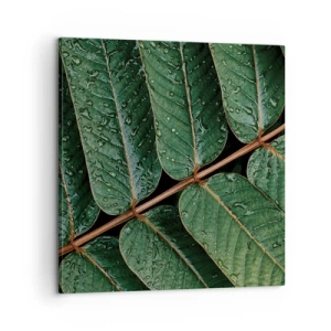 Bild auf Leinwand - Leinwandbild - Im grünen Rhythmus - 60x60 cm