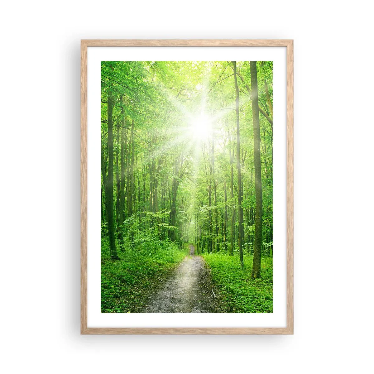 Poster in einem Rahmen aus heller Eiche - Die grüne Kathedrale - 50x70 cm