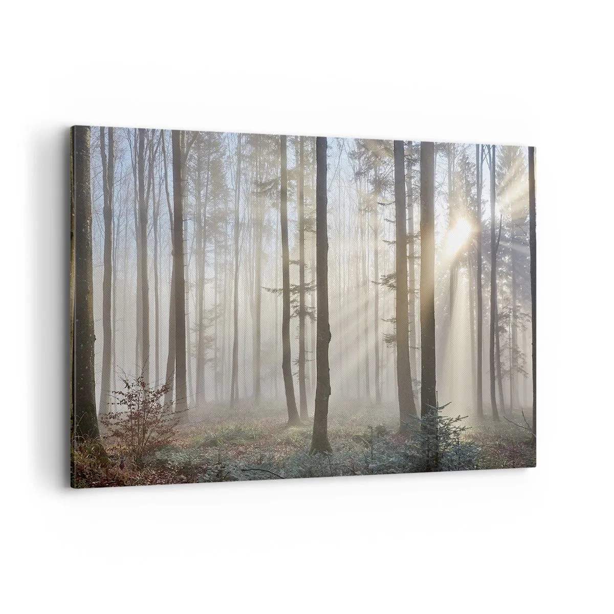Bild auf Leinwand - Leinwandbild - Ein Wald in leichtem Nebel mit Sonnenstrahlen, die durch die Bäume scheinen - 120x80cm - Der Nebel ist auch aufgewacht - Moderne Wanddekoration für Wohnzimmer und Schlafzimmer ARTTOR