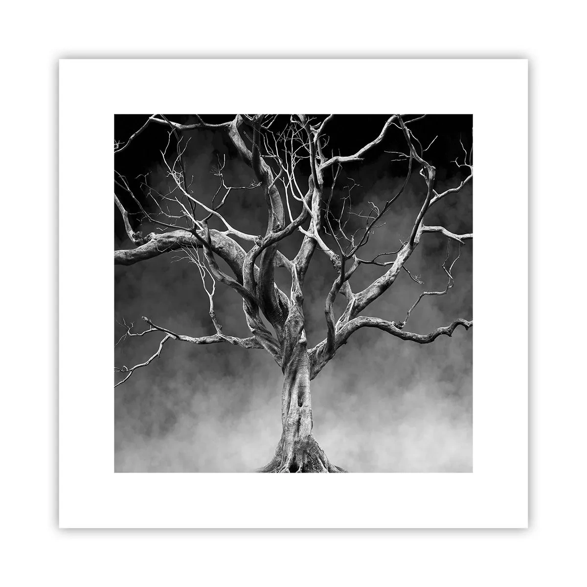 Poster - Ursprünglich und heilig - 30x30 cm