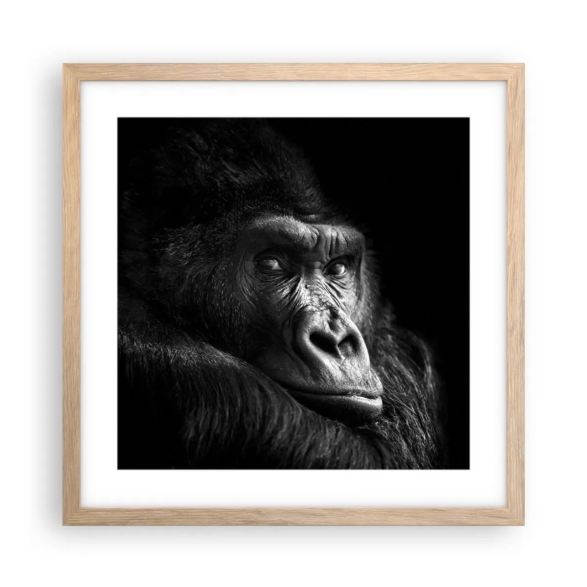 Poster in einem Rahmen aus heller Eiche - Und was guckst du so? - 40x40 cm