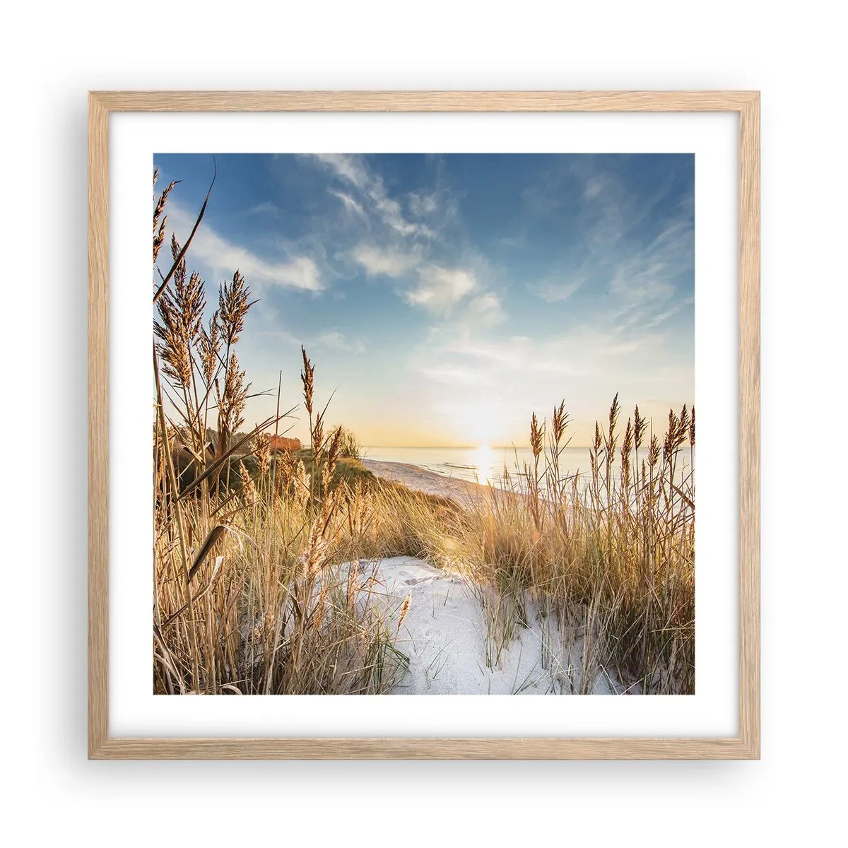 Poster in einem Rahmen aus heller Eiche - Nordstrand - 50x50 cm