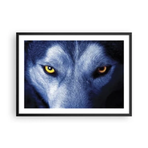 Poster in einem schwarzem Rahmen - Nahaufnahme des intensiven Blicks eines Wolfes vor dunklem Hintergrund - 70x50cm - Faszinierender Blick - Moderne Wanddekoration für Wohnzimmer und Schlafzimmer ARTTOR