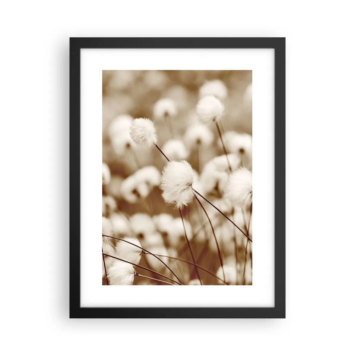 Poster in einem schwarzem Rahmen - Flauschiges Kornfeld - 30x40 cm