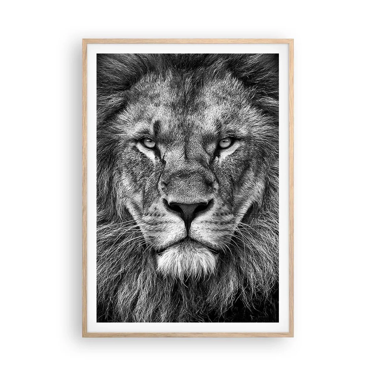 Poster in einem Rahmen aus heller Eiche - Im Krönungsgewand - 70x100 cm