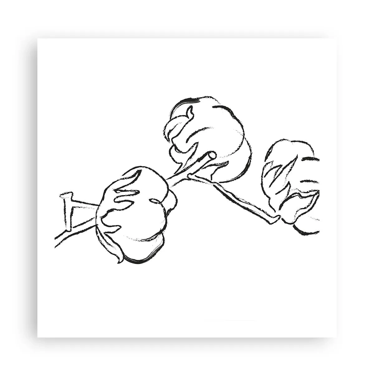Poster - Baumwolldaunen - 60x60 cm