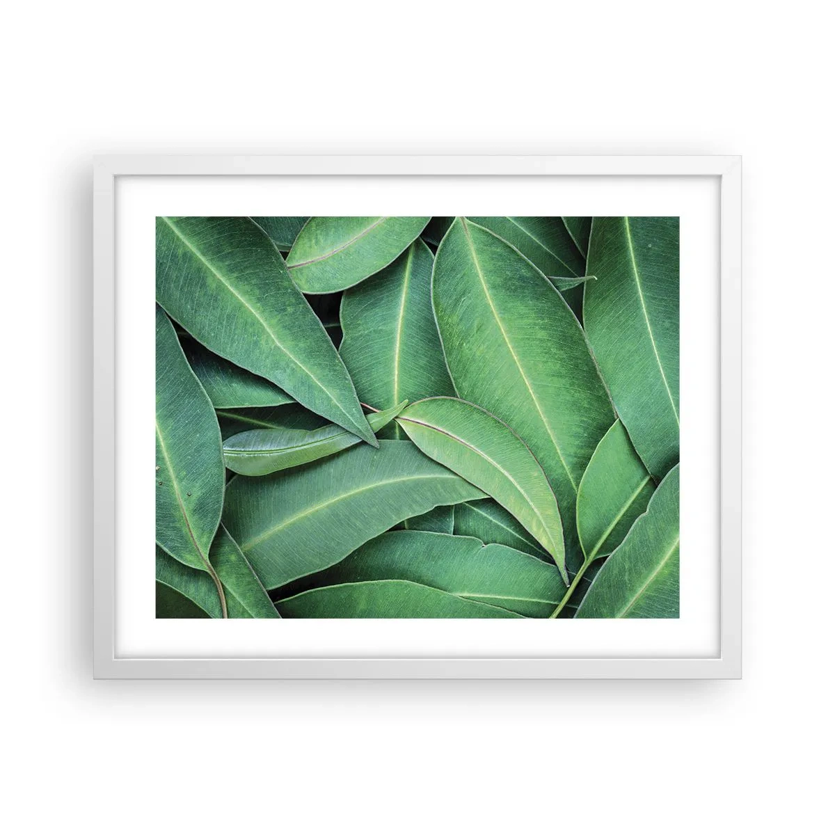 Poster in einem weißen Rahmen - Saftig und frisch - 50x40 cm