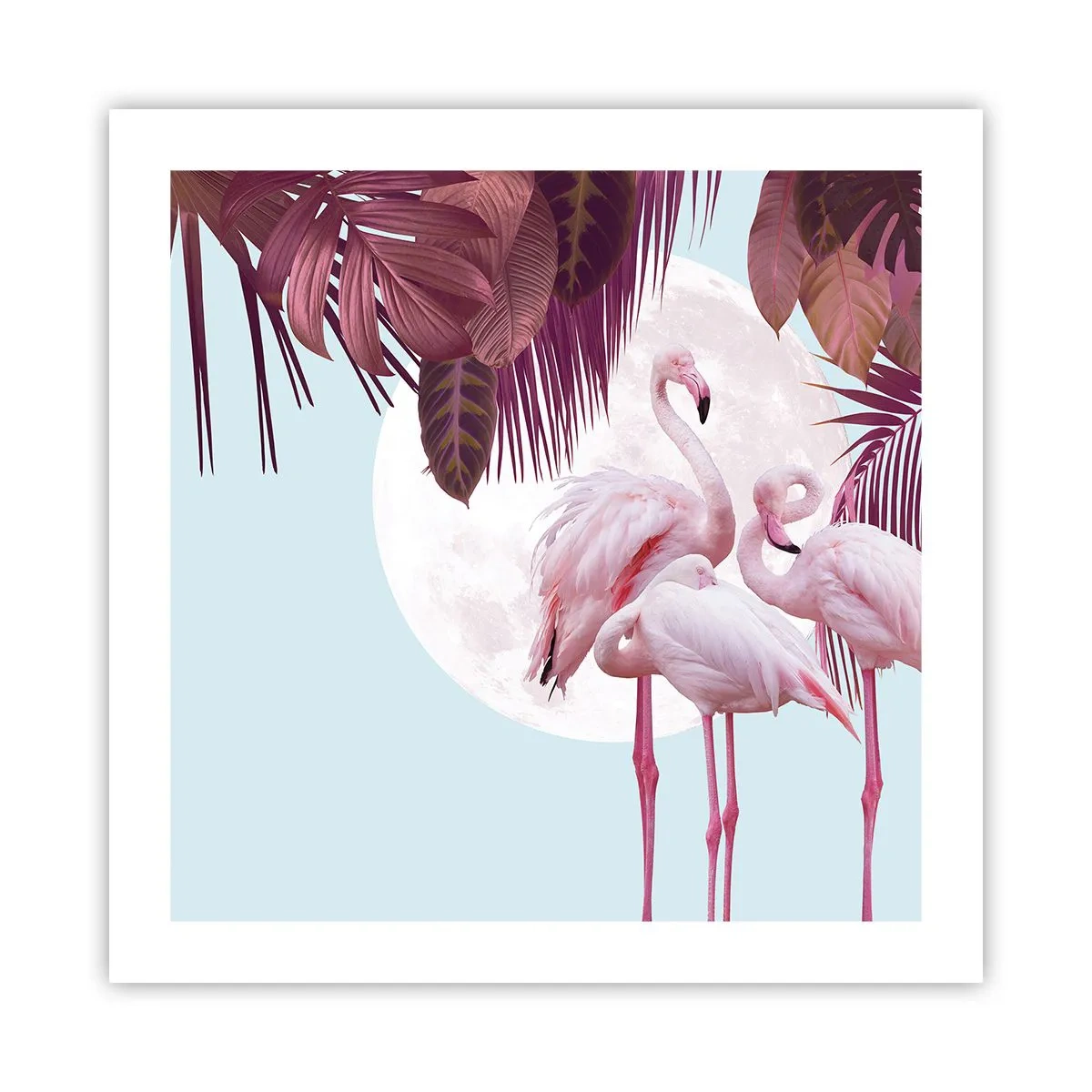 Poster - Drei Vogelgnaden - 50x50 cm