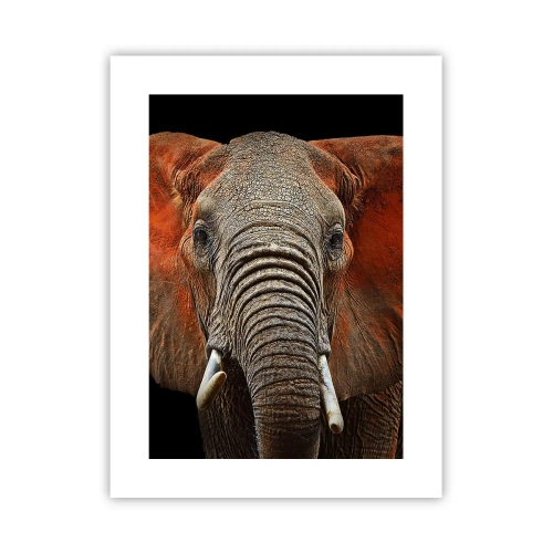 Poster - Ich bin wild und du? - 30x40 cm