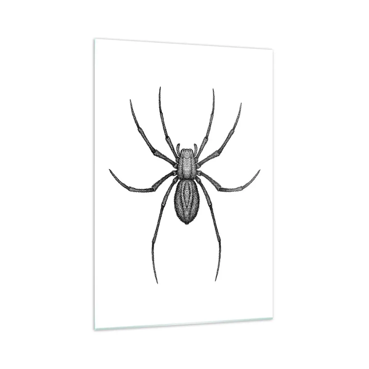 Glasbild - Bild auf glas - Detail einer Spinne auf weißem Hintergrund im Cartoon-Stil - 70x100cm - Beunruhigende Präzision - Moderne Wanddekoration für Wohnzimmer und Schlafzimmer ARTTOR
