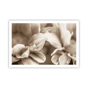 Poster - So sanft wie ein Lächeln - 91x61 cm