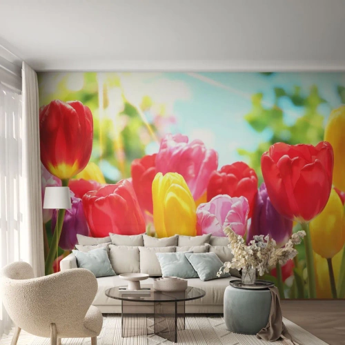 Selbstklebende Fototapete Deluxe Sticker - Wir sind es, die Farben des Mais! - Blumen, Tulpen, Garten - 100x70 cm