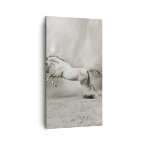 Bild auf Leinwand - Leinwandbild - Zwischen Aufwachen und Schlafen - 45x80 cm