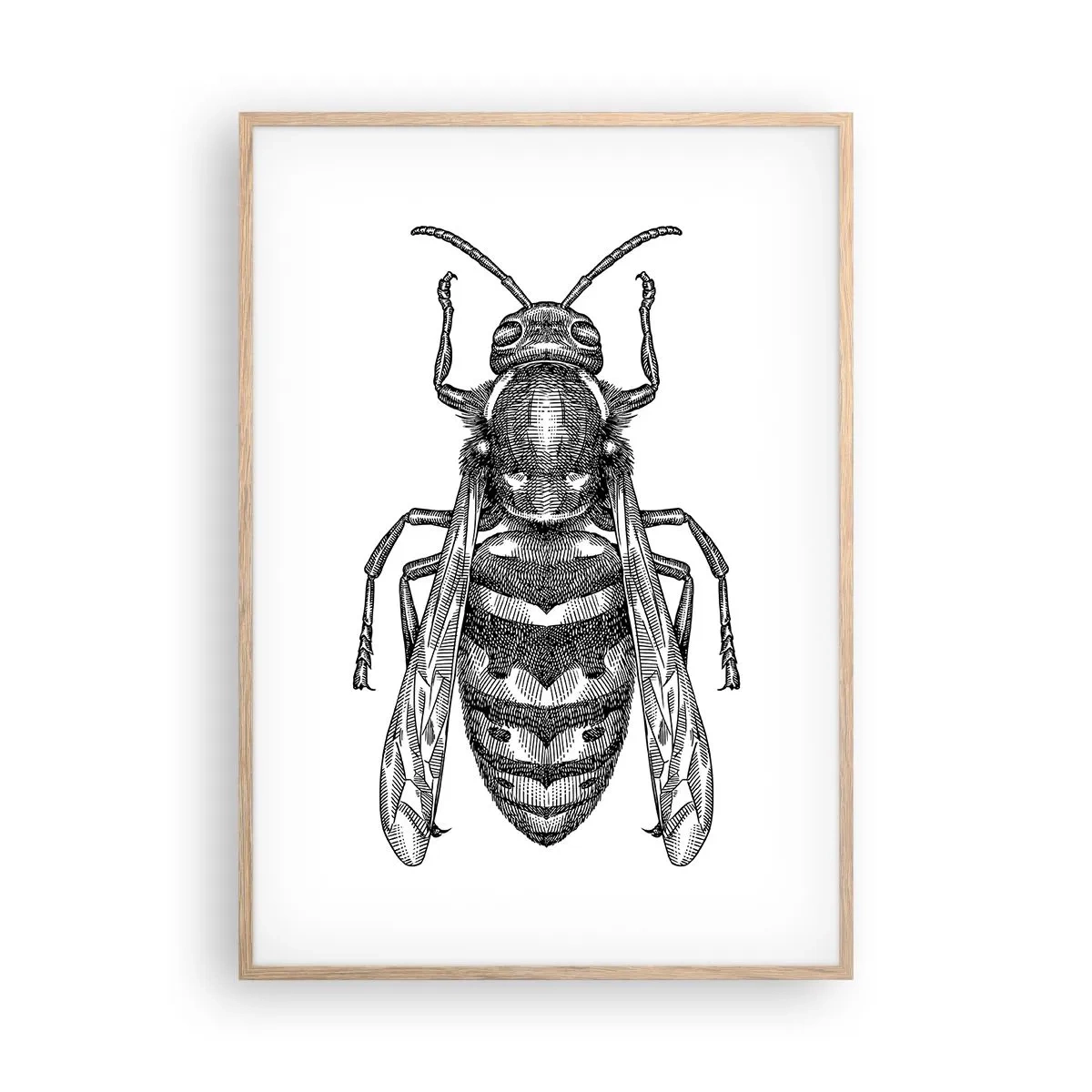 Poster in einem Rahmen aus heller Eiche - Von einem Insektenplaneten - 70x100 cm