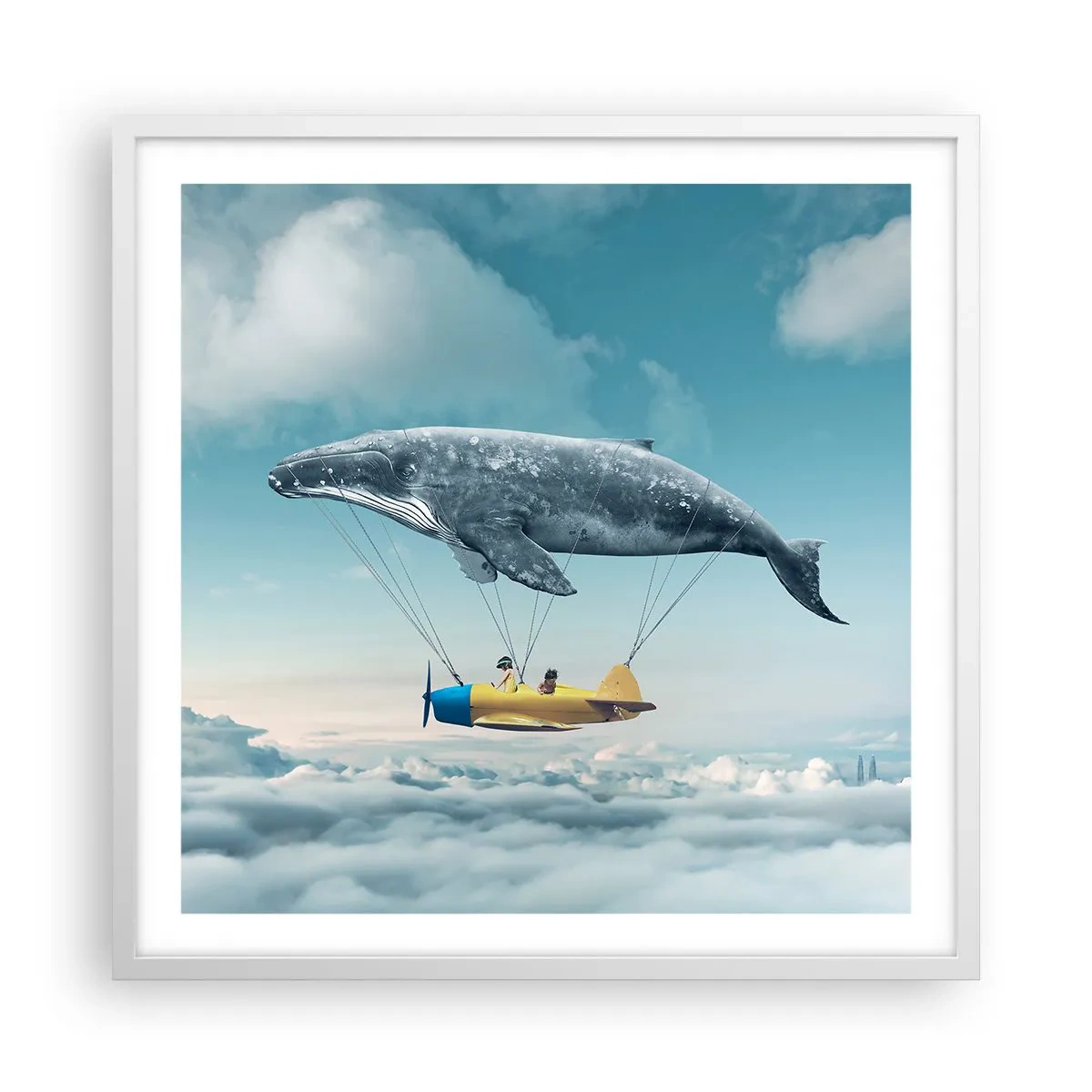 Poster in einem weißen Rahmen - Warum nicht? - 60x60 cm