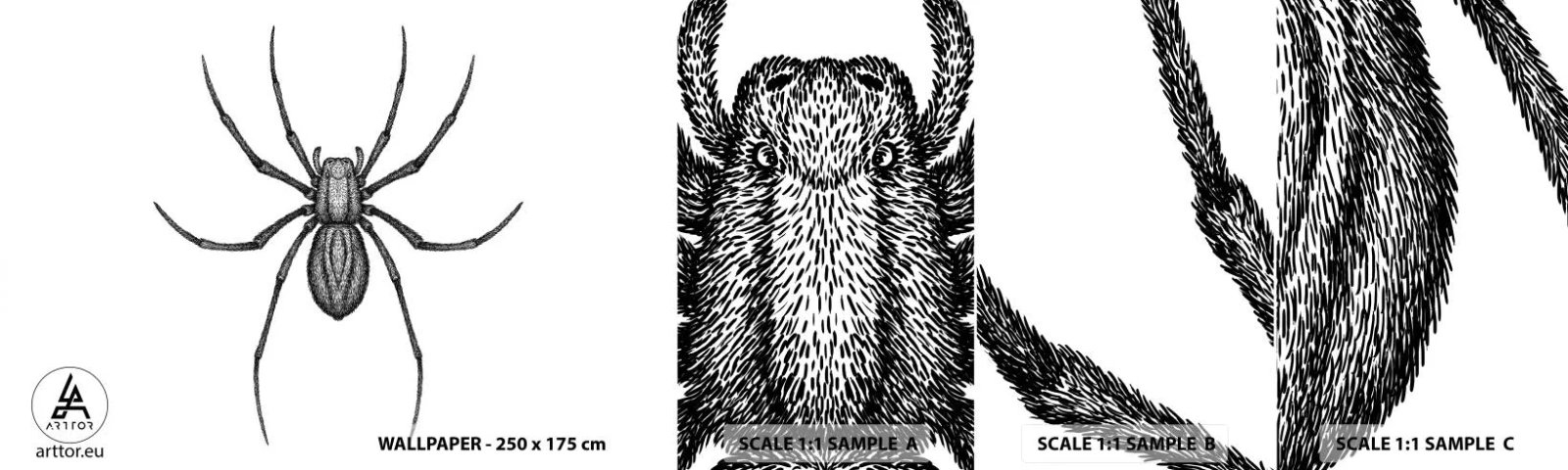 Fototapeten Muster Selbstklebend Deluxe Sticker - Beunruhigende Präzision - Spinne, Insekt, Minimalistisch - 100x30 cm