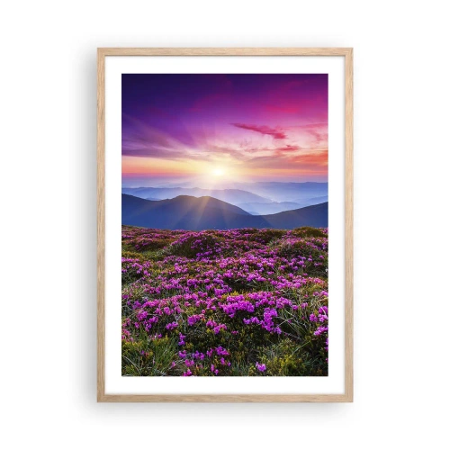 Poster in einem Rahmen aus heller Eiche - Kräuter dufteten nach frischen Trauben von den Feldern - 50x70 cm