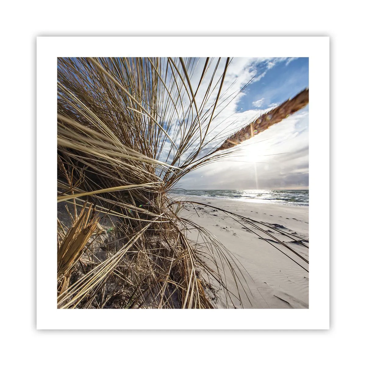 Poster - Ein Treffen der Elemente der Natur - 50x50 cm
