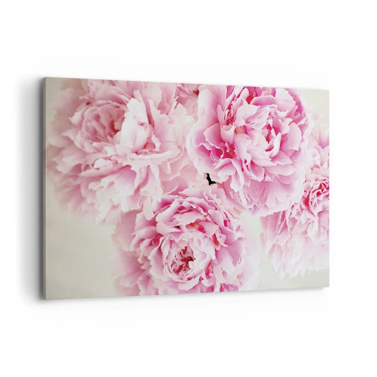 Bild auf Leinwand - Leinwandbild - Ein Strauß rosa Pfingstrosen auf hellem Hintergrund - 100x70cm - In rosa Glamour - Moderne Wanddekoration für Wohnzimmer und Schlafzimmer ARTTOR