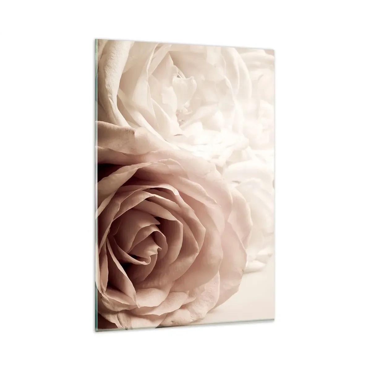 Glasbild - Bild auf glas - Zarte Rosen in pastelligen Beigetönen - 80x120cm - Im Herzen der Rose - Moderne Wanddekoration für Wohnzimmer und Schlafzimmer ARTTOR