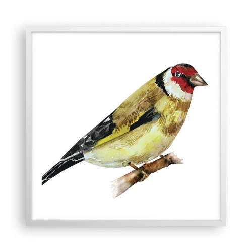 Poster in einem weißen Rahmen - Vogelporträt - 60x60 cm