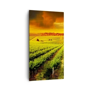 Bild auf Leinwand - Leinwandbild - Unter der australischen Sonne - 55x100 cm