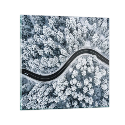 Glasbild - Bild auf glas - Durch den Winterwald - 50x50 cm