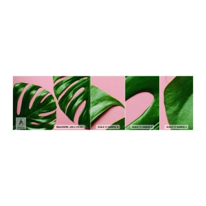 Fototapeten Muster Selbstklebend Deluxe Sticker - Rendezvous im Grünen - Monstera, Grünes Blatt, Exotische Pflanze - 100x30 cm