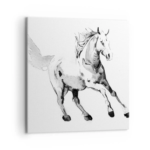 Bild auf Leinwand - Leinwandbild - Ungezähmte Seele - 50x50 cm
