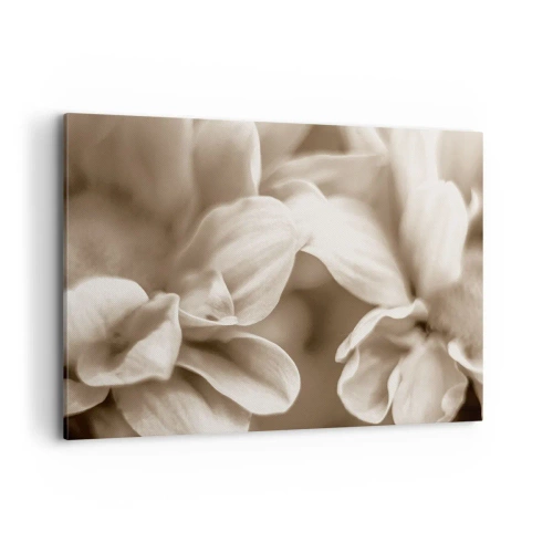 Bild auf Leinwand - Leinwandbild - Nahaufnahme von Blüten in zartem Sepia-Ton mit weichen Konturen - 100x70cm - So sanft wie ein Lächeln - Moderne Wanddekoration für Wohnzimmer und Schlafzimmer ARTTOR