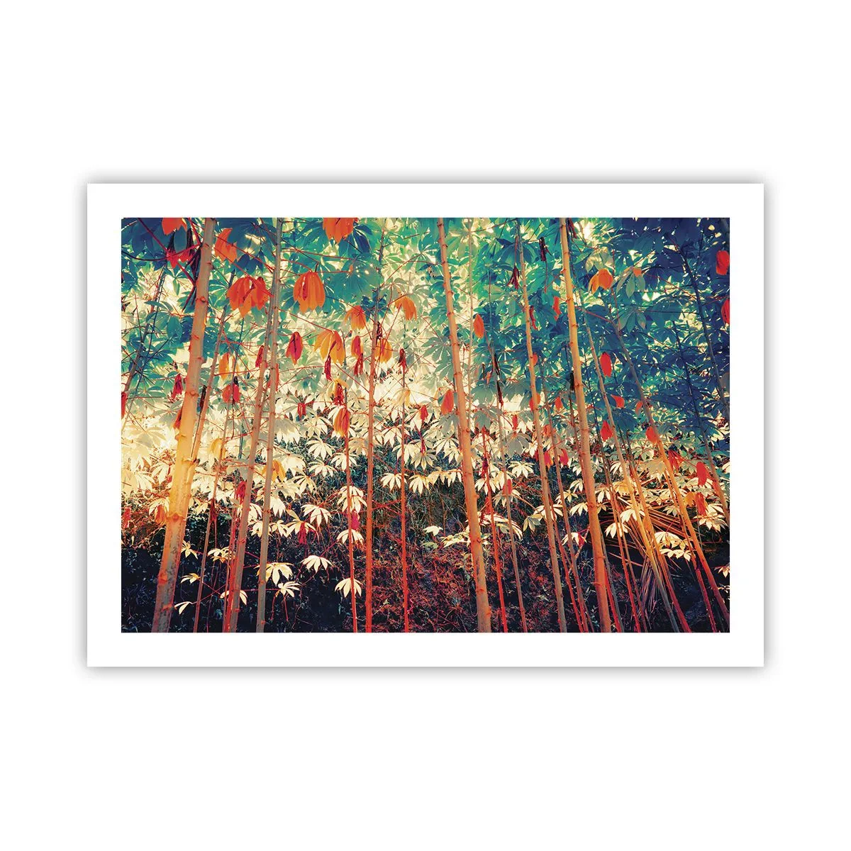 Poster - Das geheime Leben der Blätter - 70x50 cm