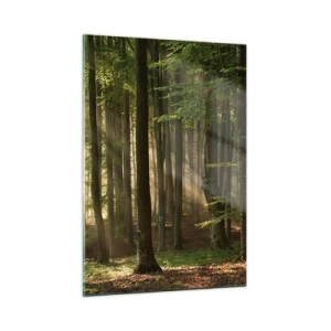 Glasbild - Bild auf glas - Sonnenstrahlen scheinen durch die Bäume im Wald - 50x70cm - Strahlend an einem Frühlingsmorgen - Moderne Wanddekoration für Wohnzimmer und Schlafzimmer ARTTOR