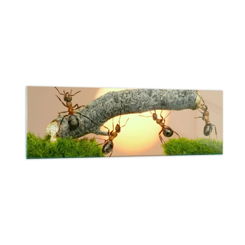 Glasbild - Bild auf glas - Ameisen bauen vor dem Hintergrund der untergehenden Sonne eine Brücke aus Ästen. - 160x50cm - Glücklich, zusammen arbeiten - Moderne Wanddekoration für Wohnzimmer und Schlafzimmer ARTTOR