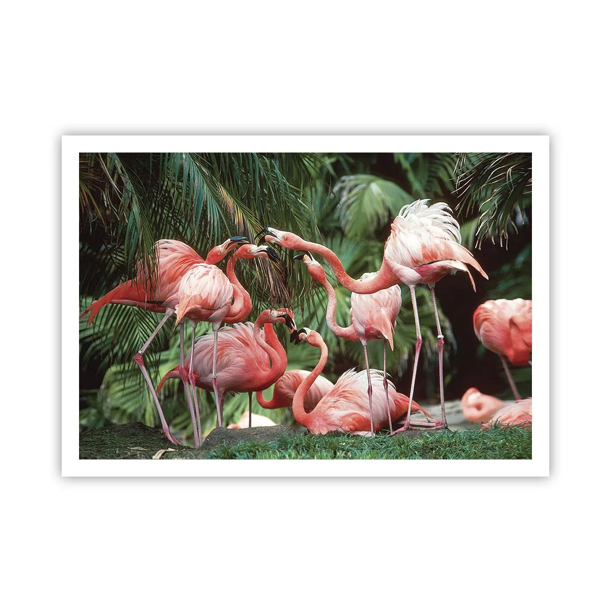 Poster - Eine Gruppe von Flamingos in einer tropischen Umgebung, umgeben von Palmen - 100x70cm - Nachmittagsklatsch - Moderne Wanddekoration für Wohnzimmer und Schlafzimmer ARTTOR