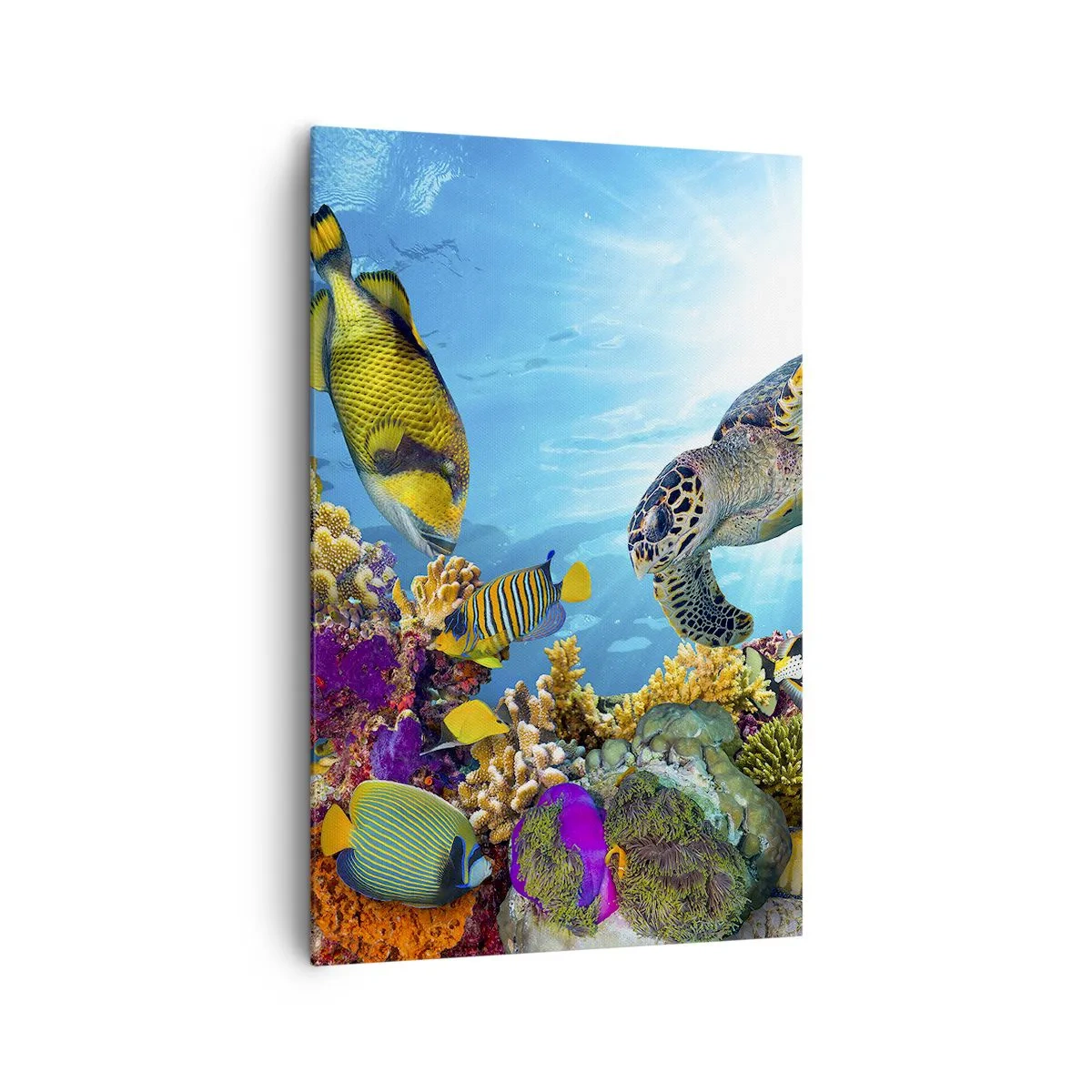Bild auf Leinwand - Leinwandbild - Unterwasserwelt mit bunten Fischen und einer Schildkröte in den Korallen - 80x120cm - Korallenpromenade - Moderne Wanddekoration für Wohnzimmer und Schlafzimmer ARTTOR
