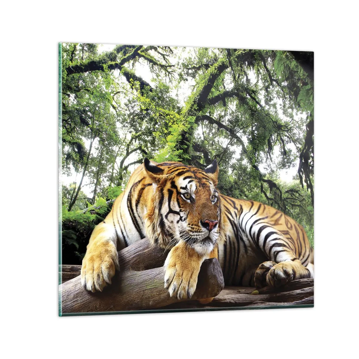 Glasbild - Bild auf glas - Hochachtungsvoll - 70x70 cm