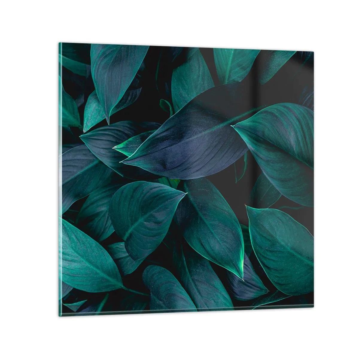 Glasbild - Bild auf glas - Grün in sich selbst - 30x30 cm