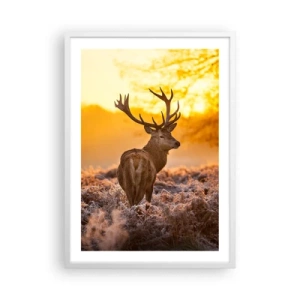 Poster in einem weißen Rahmen - König des Herbstwaldes - 50x70 cm