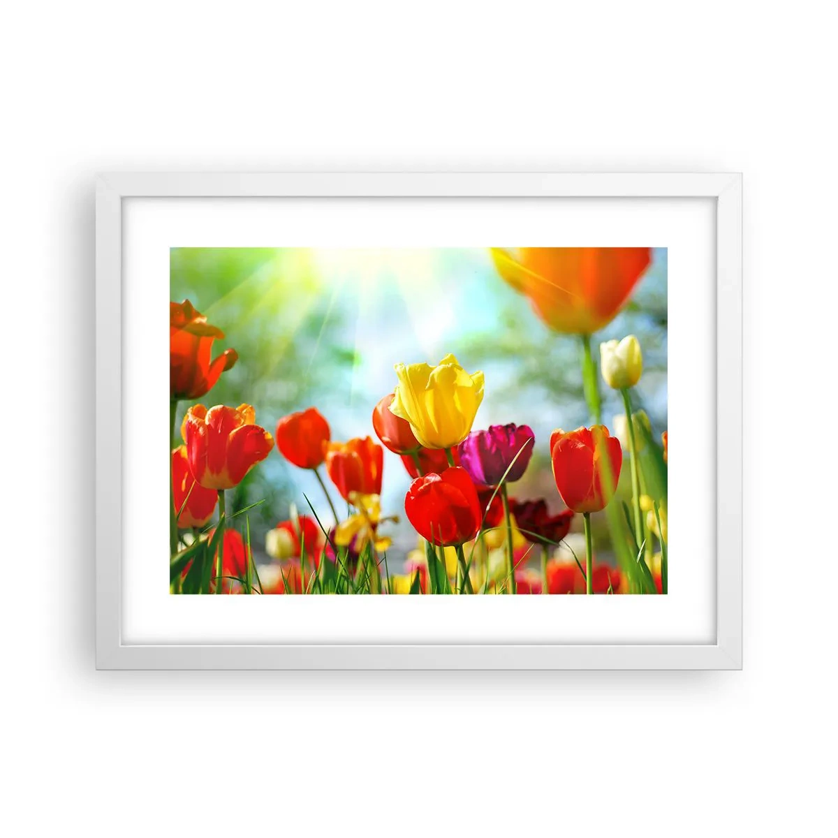 Poster in einem weißen Rahmen - Alle Farben der Sonne - 40x30 cm