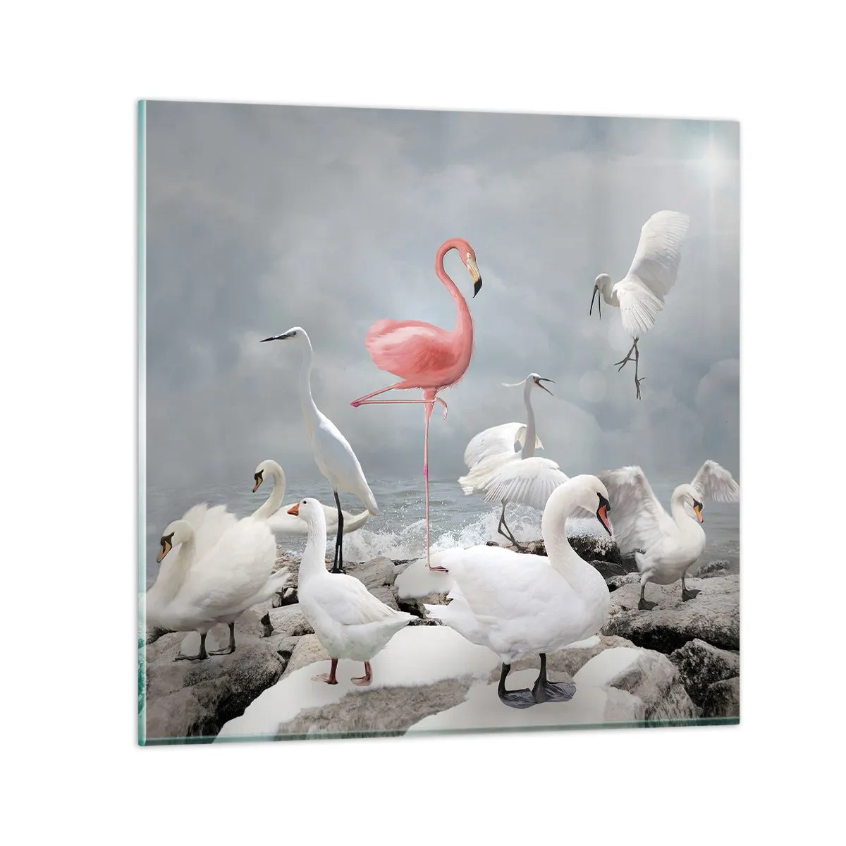 Glasbild - Bild auf glas - Wie kam ich hier hin? - 60x60 cm