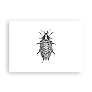 Poster - Grafik eines schwarz-weißen Insekts auf weißem Hintergrund - 100x70cm - Was für ein Exemplar! - Moderne Wanddekoration für Wohnzimmer und Schlafzimmer ARTTOR