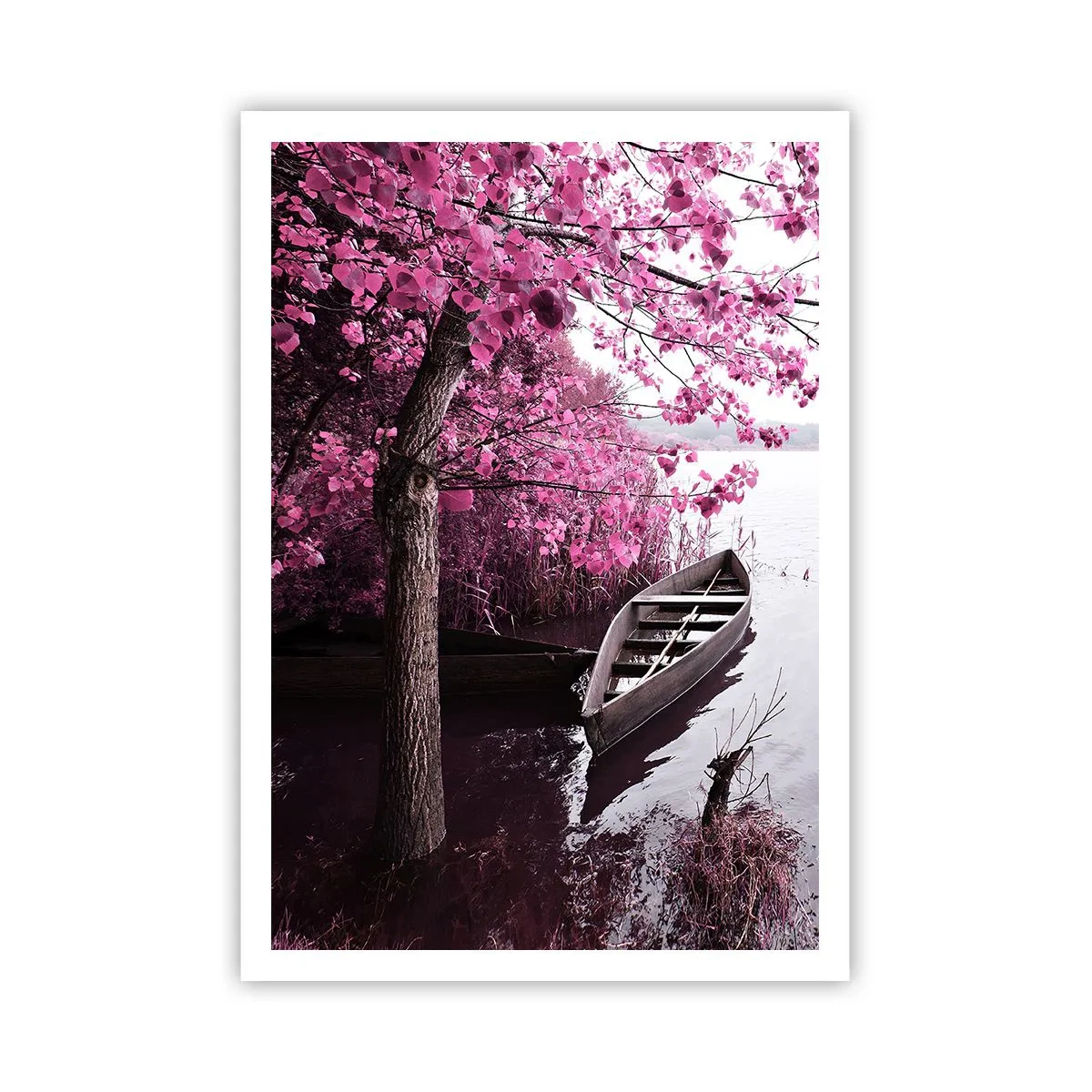 Poster - In rosa Stille - 70x100 cm