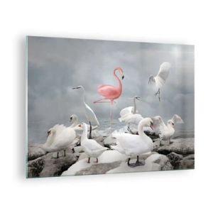 Glasbild - Bild auf glas - Ein rosa Flamingo zwischen weißen Schwänen und Reihern vor dem Wasser - 70x50cm - Wie kam ich hier hin? - Moderne Wanddekoration für Wohnzimmer und Schlafzimmer ARTTOR