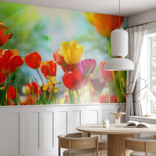 Maßgeschneiderte Fototapete Premium Sand - Alle Farben der Sonne - Tulpen, Blumen, Wiese