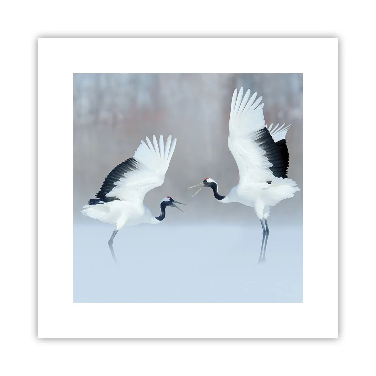 Poster - Tanz im Nebel - 30x30 cm